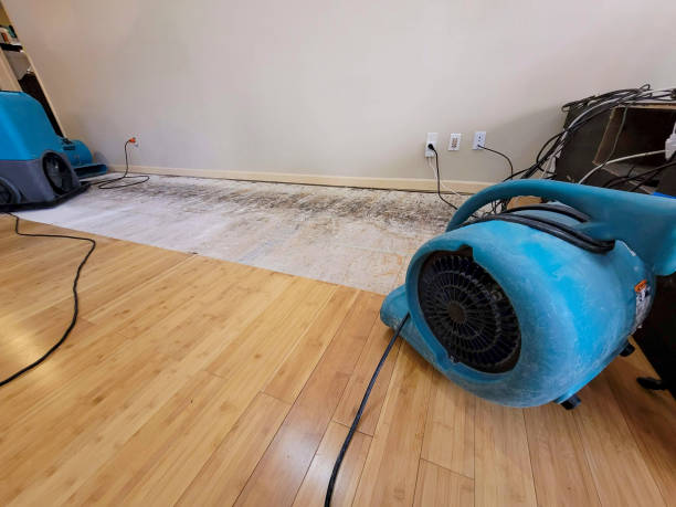 Professional Water Damage Repair technician working in Booneville, MS